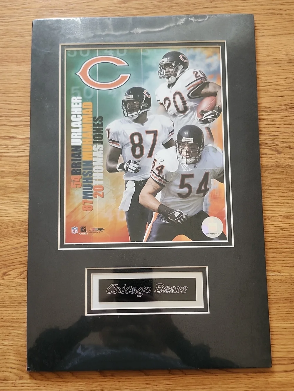 NFL Bears Black Framed Wall Art NFL Licensed
